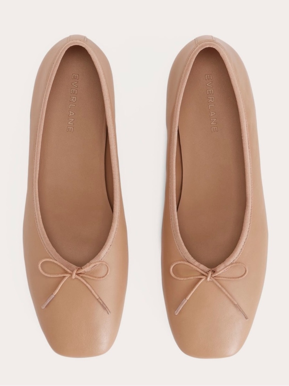 Everlane The Day Ballet Flat